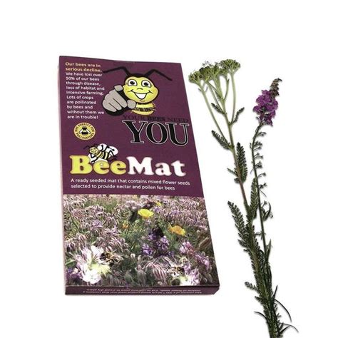 Buy Bee And Butterfly Seed Mats 1m3 — The Worm That Turned