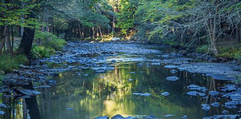 Pa Environment Digest Blog The Nature Conservancy Pa Preserves 130