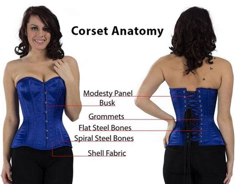 Corset And Corseting 101everything You Need To Know Shapewear Vs Corset