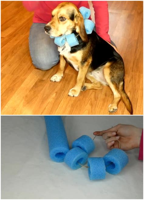 7 Diy Dog Cone Ideas That Are Easy To Make Dog E Collars