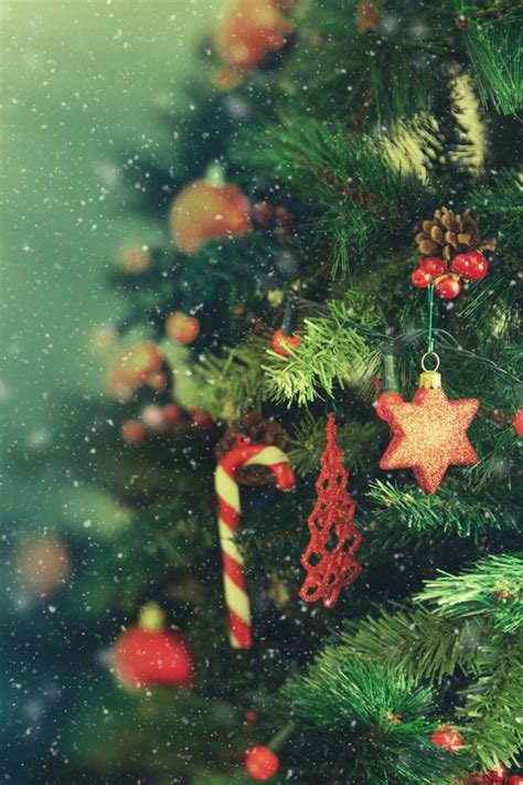 Christmas tree syndrome: Is it real?