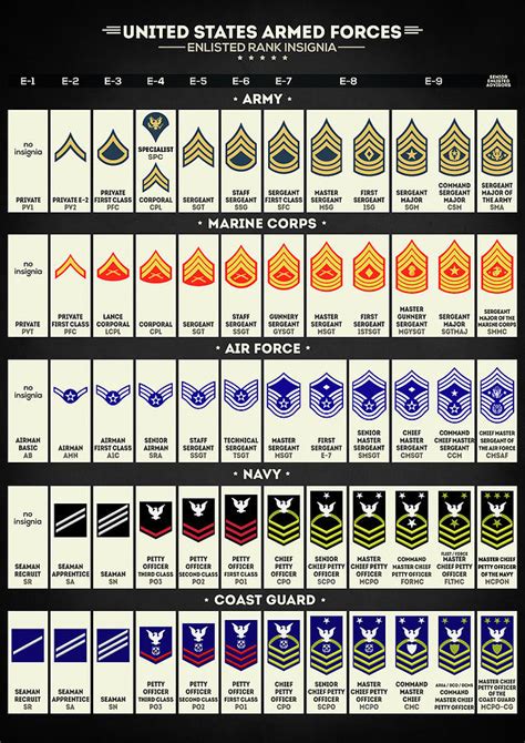 United States Armed Forces Enlisted Rank Insignia Digital Art By