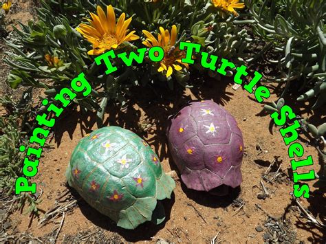 A Pretty Talent Blog Painting Two Turtle Shells