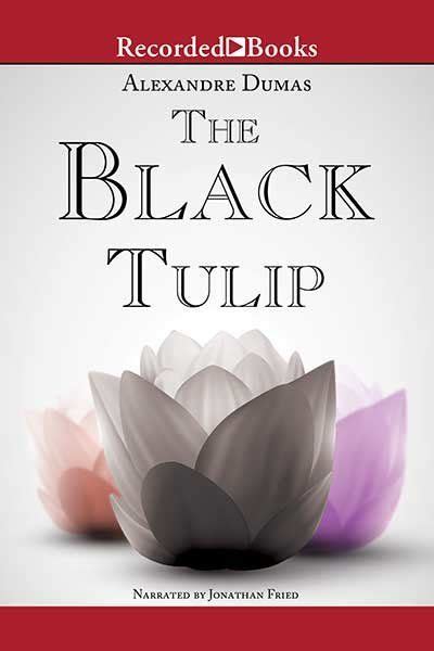 The Black Tulip Audiobook On Librofm Black Tulips Tulips Black