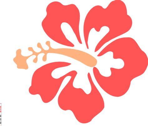Download High Quality Hibiscus Clipart Coral Transparent Png Images