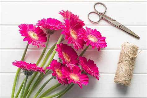 Check spelling or type a new query. How to preserve cut flowers? - Flower Warehouse