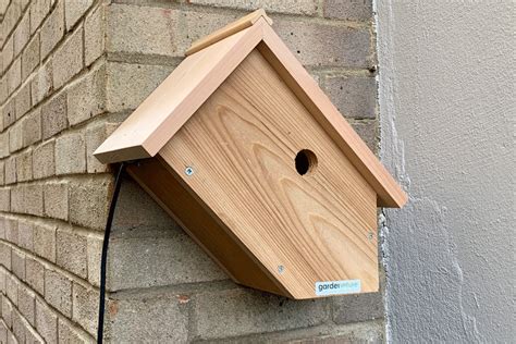 Here's also what monk parrots'. Side View Bird Box Camera | Gardenature