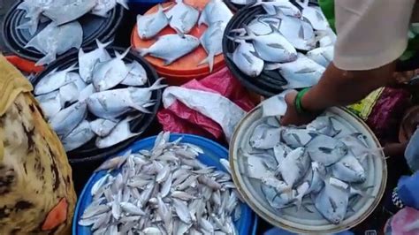 Get latest info on fresh fruits, suppliers, wholesale bhandup west, mumbai no. 11 Famous Fish Market in Mumbai for Seafood Lovers ...