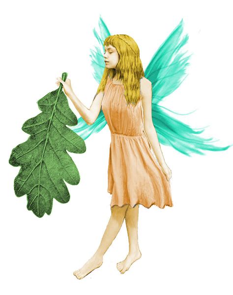 Oak Tree Fairy With Oak Leaf Digital Art By Yuichi Tanabe Fine Art