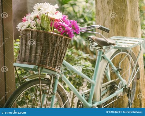 Vintage Bicycle With Flowers In Basket Stock Photo Image Of Prop