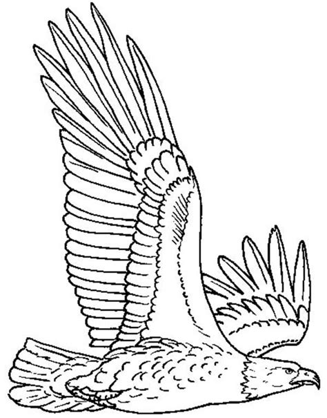 Cute cartoon squirrel black and white. Eagle Flying Coloring Pages at GetColorings.com | Free ...