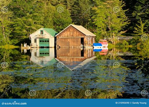Boathouses In New Hampshire Stock Photo Image Of Lilypads River
