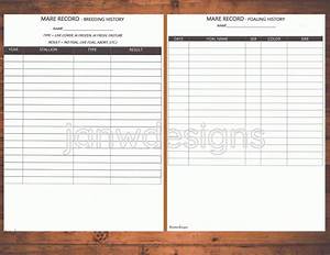  Record Equine Journal System Letter Size A4 Size Horse