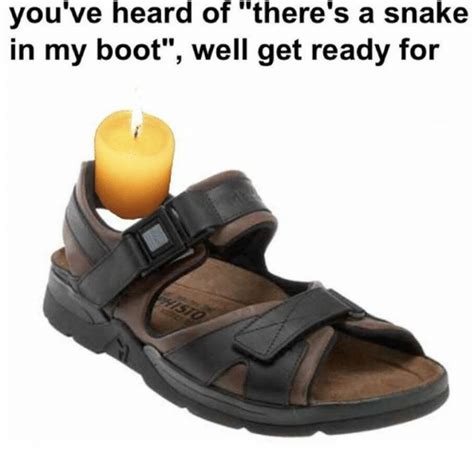 Theres A Snake In My Boot Snake Meme On Meme