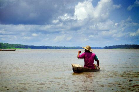Amazon River Colombia Photo