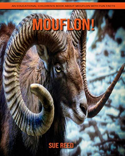 Mouflon An Educational Childrens Book About Mouflon With Fun Facts By