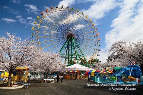 華蔵寺公園 桜満開 | 季節の話題(おでかけ、観光) | 伊勢崎市情報ポータルサイト アイマップ