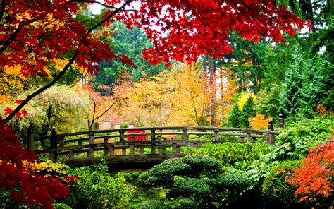 World architecture bridges asian oriental garden fall autumn colors