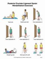 Muscle Strengthening Exercises Knee Ligament Pictures