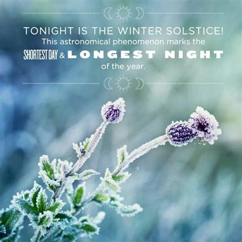Winter Solstice Shortest Day Longest Night Of The Year Winter