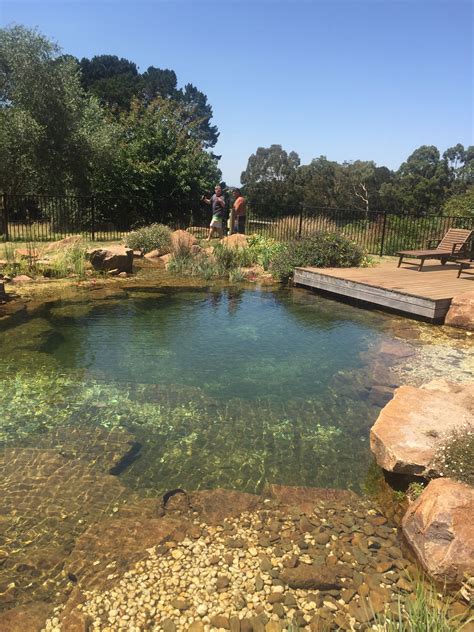 Aquascape swimming pools contractors in petaluma, ca. Pin van Aquascape Australia op Aquascape Recreation Ponds