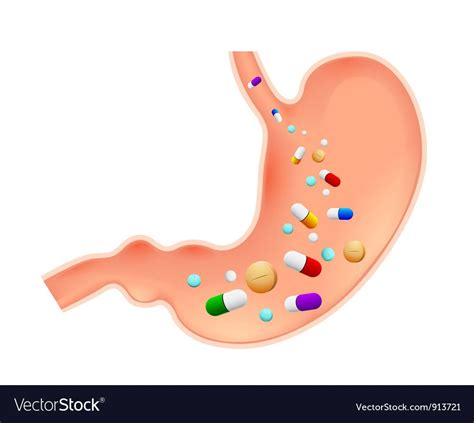 Stomach With Pills Download A Free Preview Or High Quality Adobe