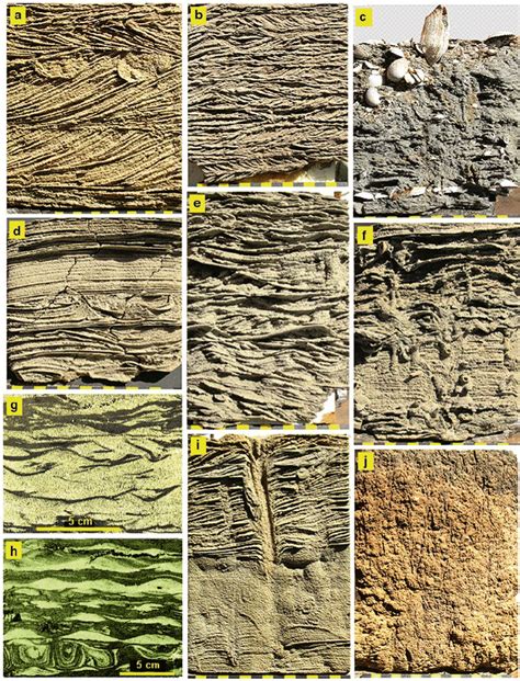 18 Internal Sedimentary Structures Typical For Tidal Flat Deposits A