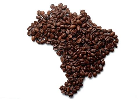 Brazilian Coffee King Of Coffee Production Coffee Brew Life