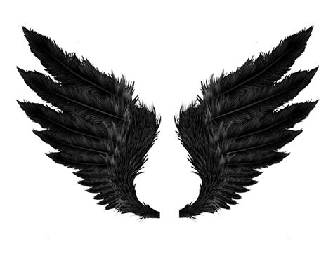 Angel Wings Vector Png Angel Wings Vector Png Transparent Free For
