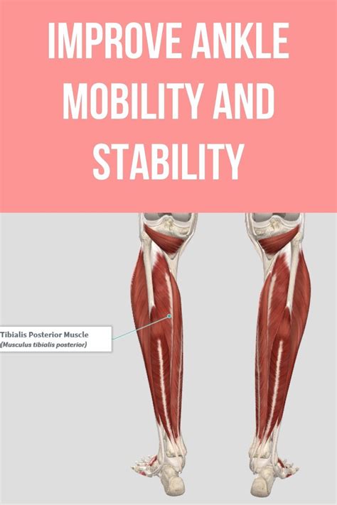 Improve Ankle Mobility And Stability In 2021 Ankle Mobility Fitness