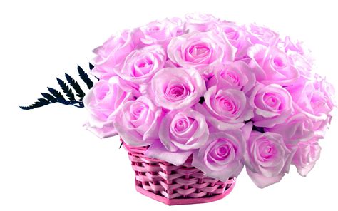 Find and download rose background on hipwallpaper. Violet Rose Wallpaper (60+ images)