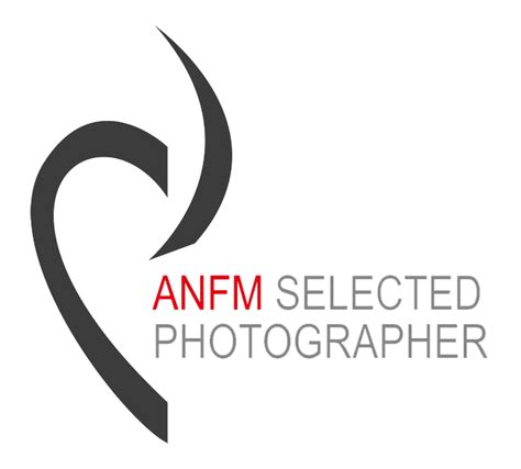 ANFM Italian Wedding Photographers - Giancarlo Malandra