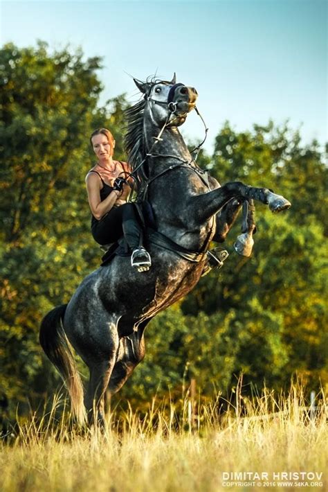 Girl Riding Rearing Up Horse Cropped Image 54ka Horses