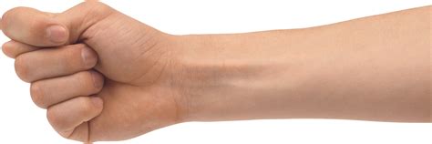 Hand Clipart Forearm Hand Forearm Transparent Free For Download On