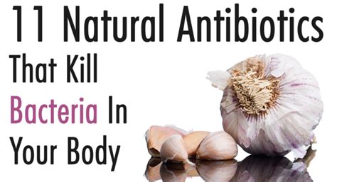 Knowing what kills the coronavirus will help keep you healthy. 11 Natural Antibiotics That Kill Bacteria in Your Body ...