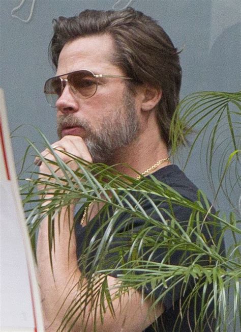 Brad Pitt Beard Styles