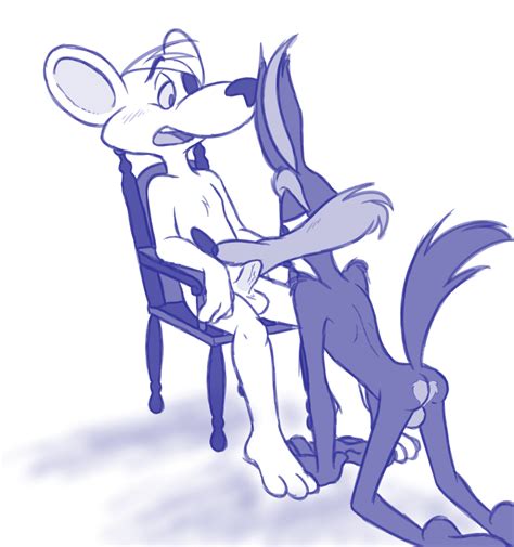 Rule 34 Ass Balls Blush Canine Chair Coyote Danger Mouse