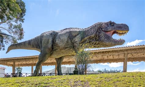 7 Real Life Jurassic Parks Around The World That Dinosaur Fanatics Will