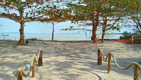Ilha De Superagui Tranquila E Encantadora No Litoral Paranaense