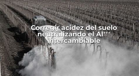 Corregir Acidez Del Suelo Neutralizando El Al Intercambiable