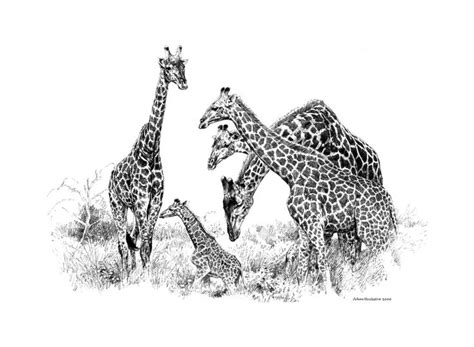 Johan Hoekstra Wildlife Artist Wildlife Artists Animal Art Wildlife Art