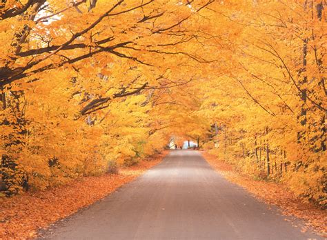 A Fall Weekend In Vermonts Green Mountains Travellatte