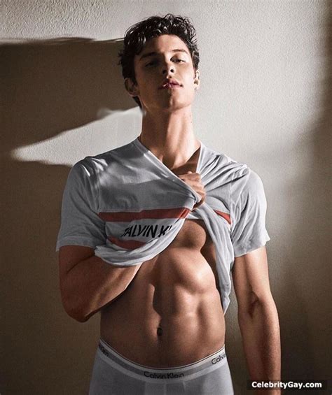 Shawn Mendes Nude Leaked Pictures And Videos Celebritygay