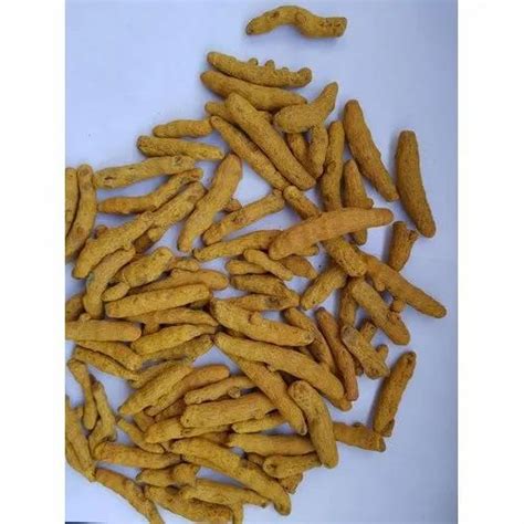Years Double Polished Turmeric Finger Packaging Size Kg Cicumim