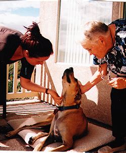 Dakota pet hospital dirba šiose srityse: Animal Hospital: Lessons in Truth and Honor For Pet Parents