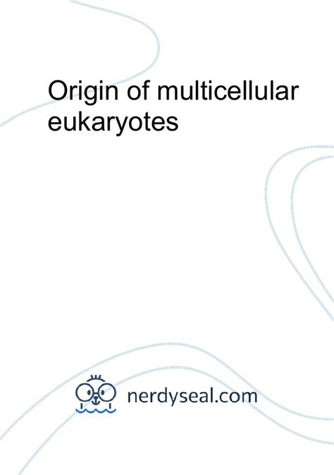 Origin Of Multicellular Eukaryotes 1343 Words Nerdyseal