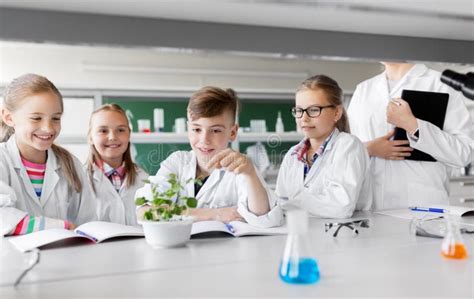 Niños O Estudiantes Con La Planta En La Clase De Biología Imagen De