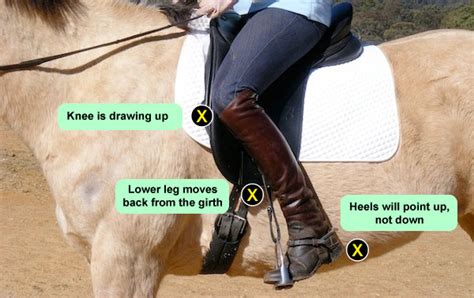 The Rider’s Position
