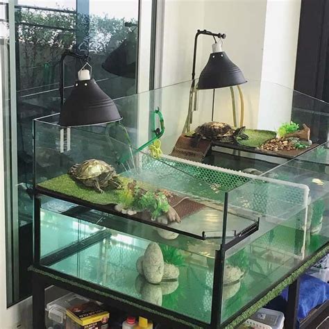 Turtle Tank Ideas And Set Up Turtle Tank Turtle Terrarium Turtle