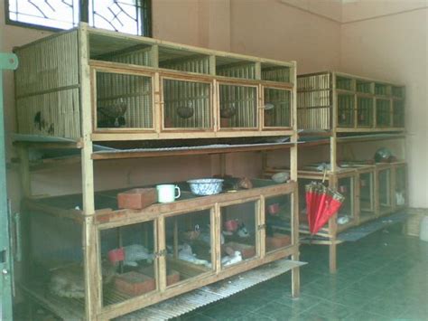 Anda juga harus mempertimbangkan seberapa sering kandang harus dibersihkan. Desain Cara Membuat Kandang Kelinci Bertingkat dari Kawat ...